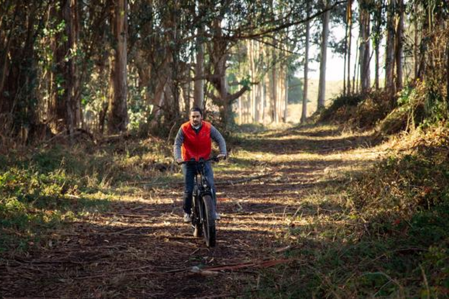 What You Should Know About the Speed of Electric Bikes