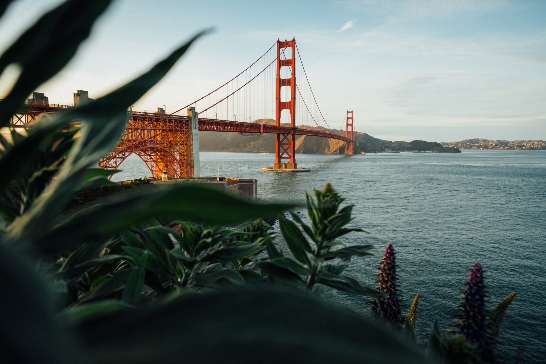 San Francisco – If you’re not on one, get on a bike today.