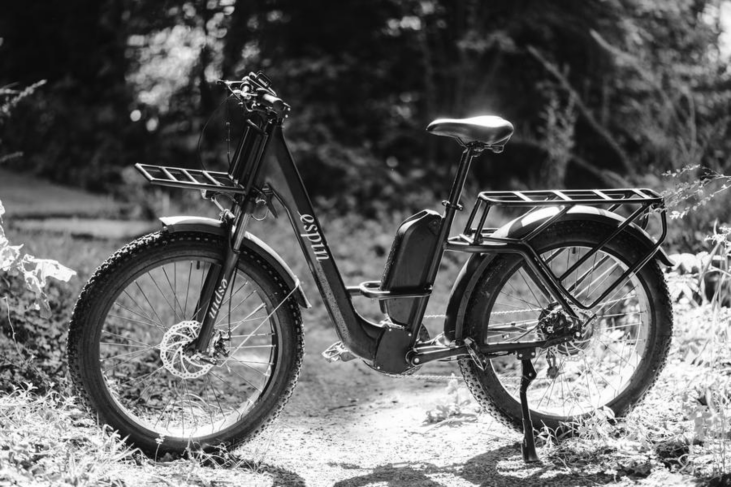 Choosing Sustainability - What to Expect With an Electric Bike