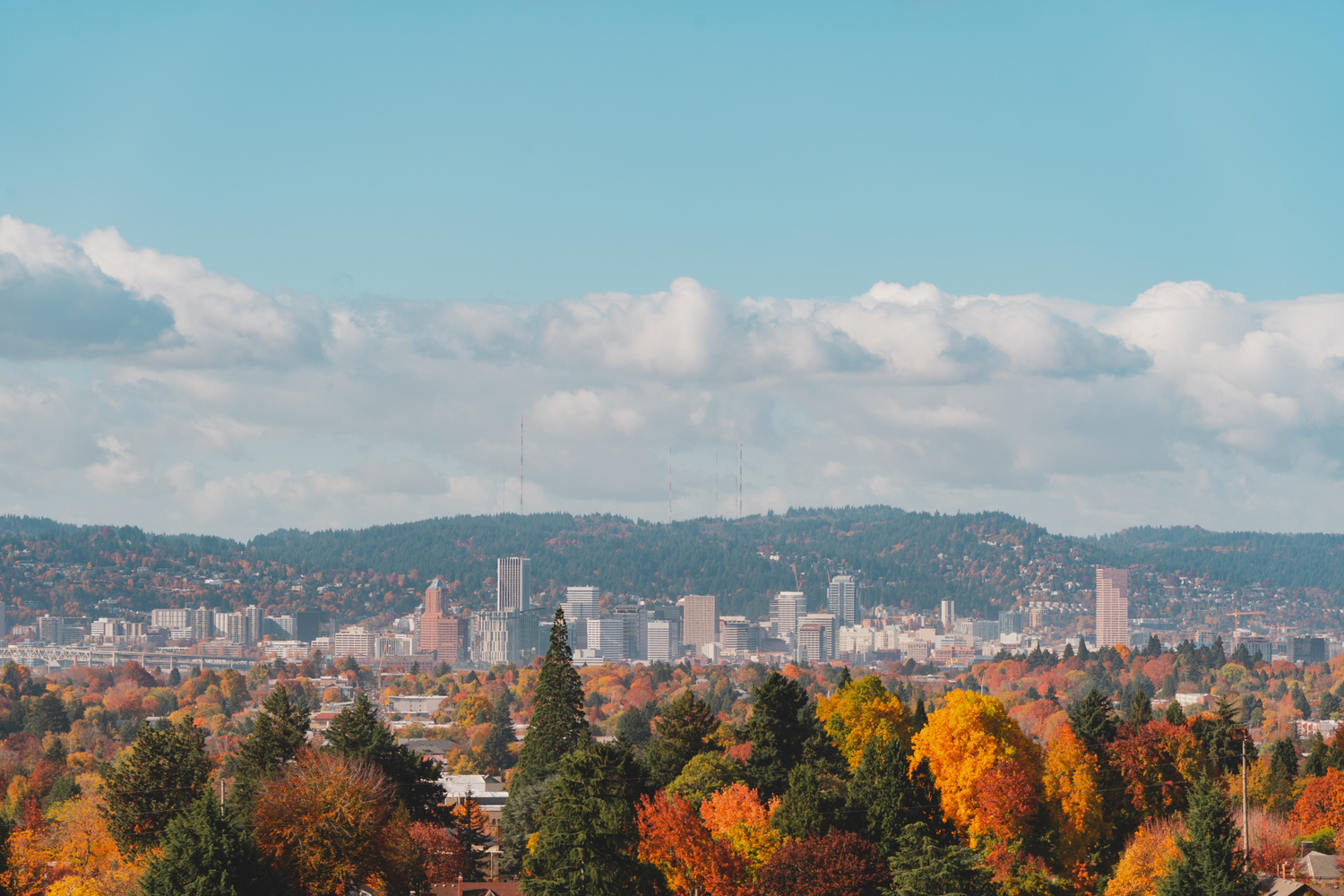 The Bike Paths of Portland