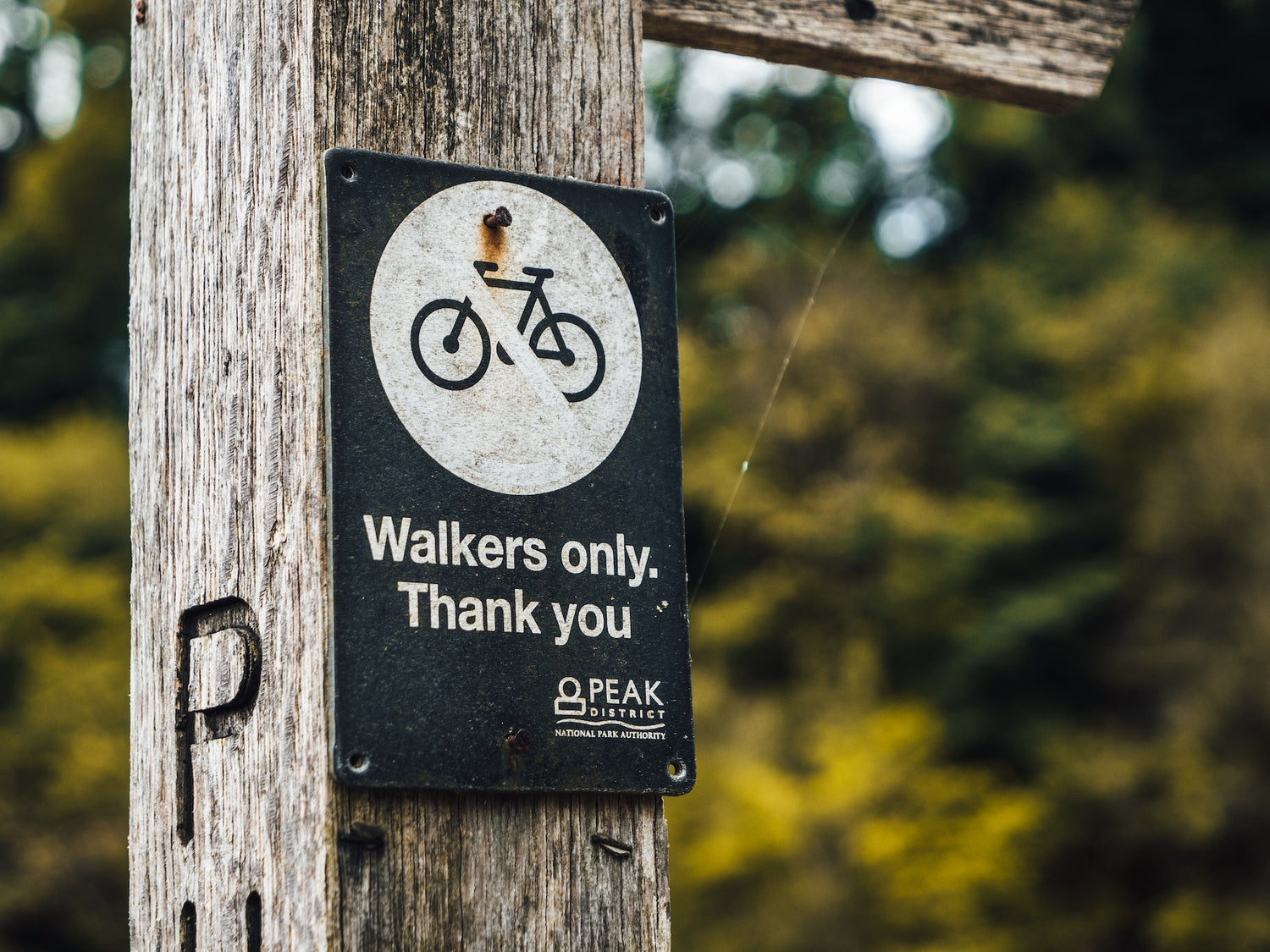 An Essential Crash Course on the Electric Bike Etiquette Rules
