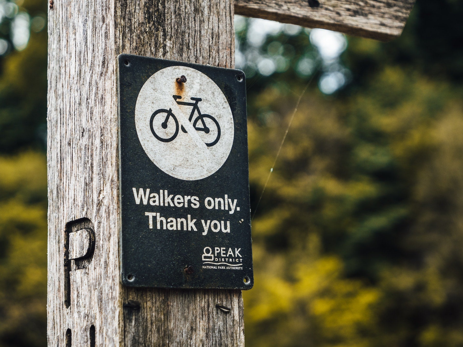 Staying Safe on the Road - E-Bike Etiquette for Riders